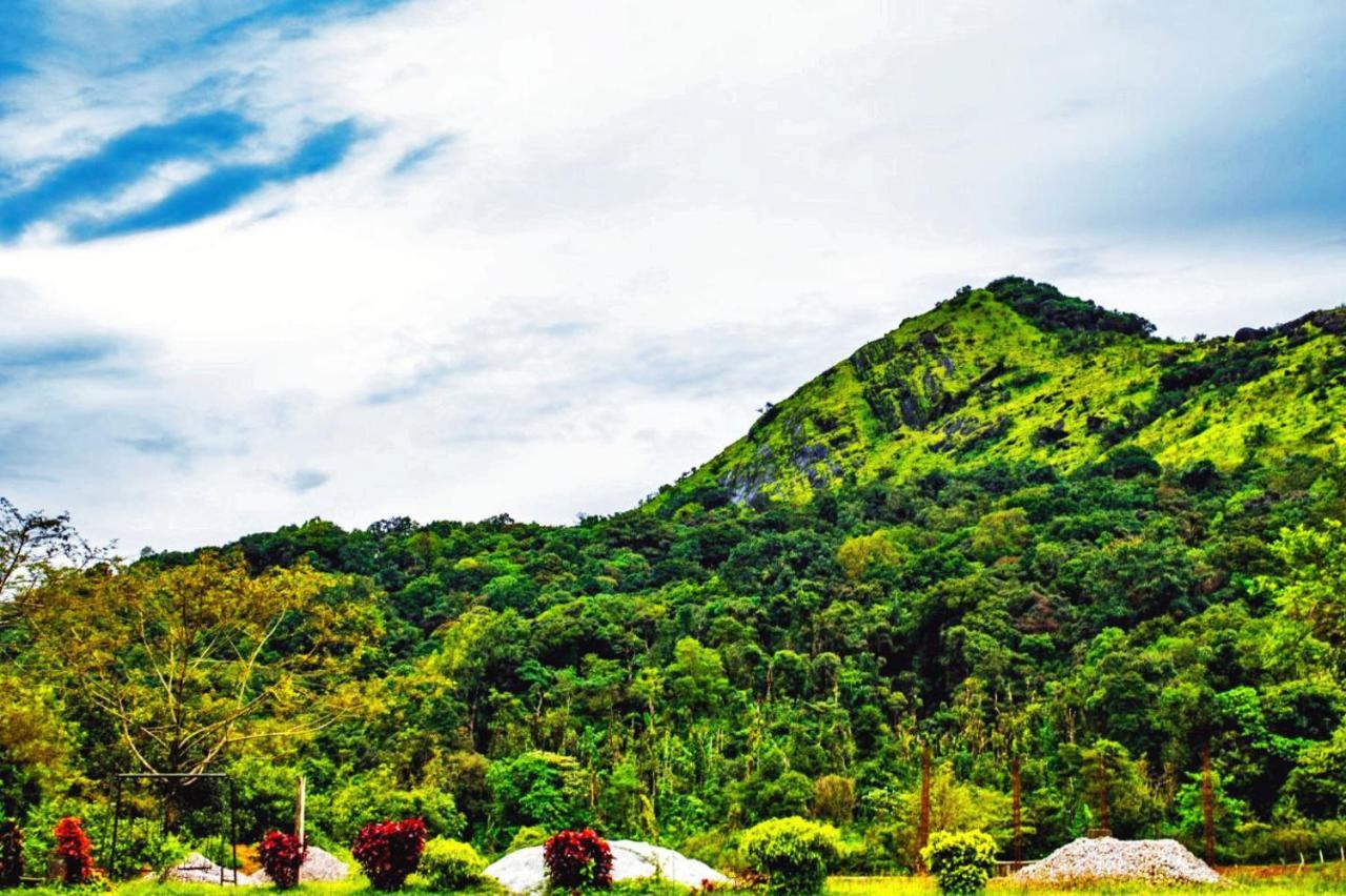 ساكليشبور Staymaker Kasargali Homestay المظهر الخارجي الصورة